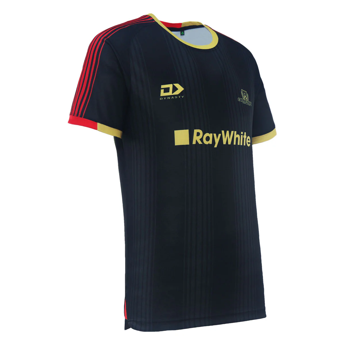 2024 Canterbury Rugby Mens Coaches Tee - Image 4