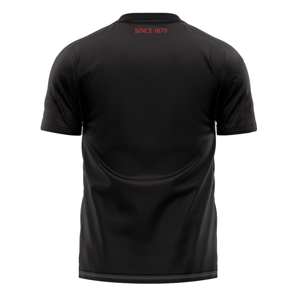 Canterbury Rugby Adults 1879 Graphic Tee - Image 2